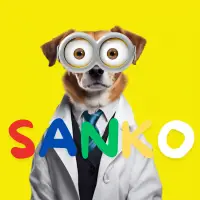 Exploring the Visionary Horizons of Sanko Game Corp: Building the Future of Gaming and Technology